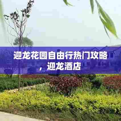 迎龙花园自由行热门攻略,迎龙酒店
