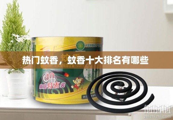 热门蚊香，蚊香十大排名有哪些 