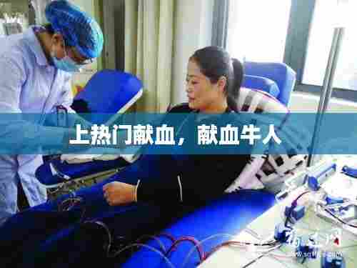 上热门献血,献血牛人