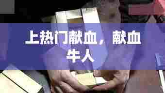 上热门献血,献血牛人