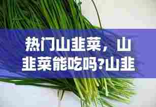热门山韭菜，山韭菜能吃吗?山韭菜不仅能吃,功效作用还很强大呢! 