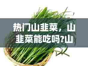 热门山韭菜,山韭菜能吃吗?山韭菜不仅能吃,功效作用还很强大呢!