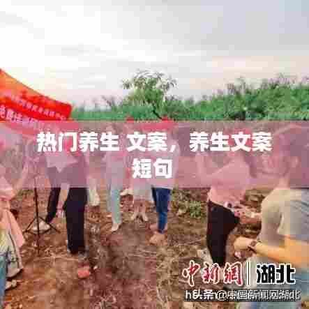 热门养生 文案,养生文案短句