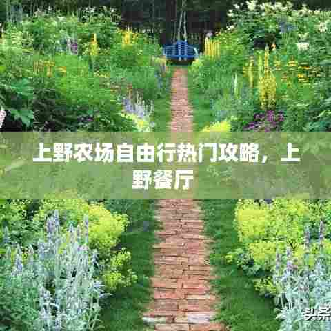 上野农场自由行热门攻略，上野餐厅 