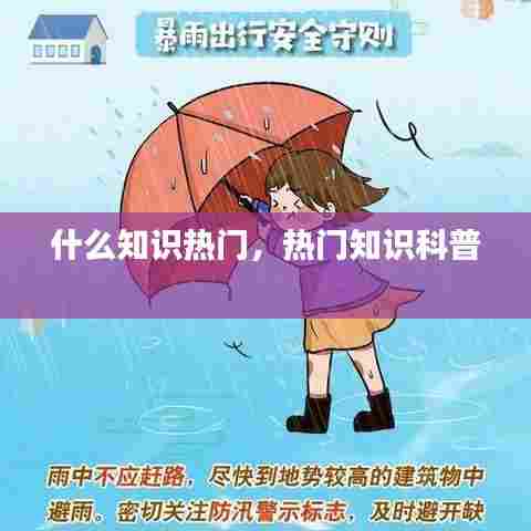 什么知识热门,热门知识科普