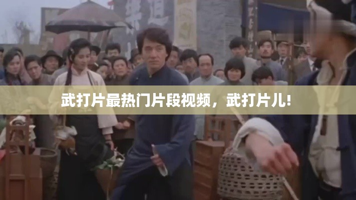 武打片最热门片段视频,武打片儿!