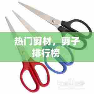 热门剪材,剪子排行榜