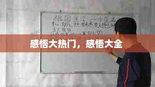 感悟大热门,感悟大全