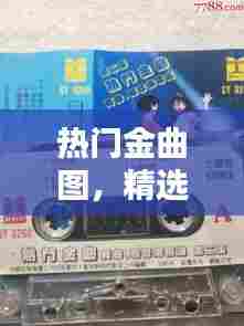 热门金曲图,精选金曲