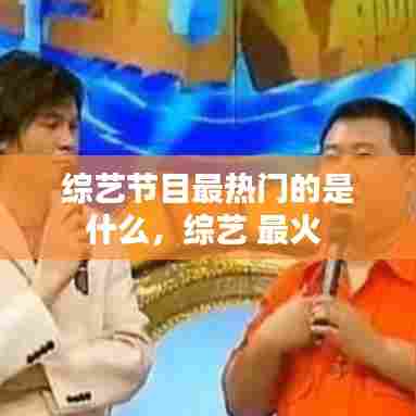 综艺节目最热门的是什么,综艺 最火
