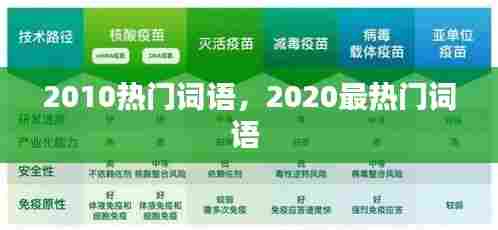 2010热门词语,2020最热门词语