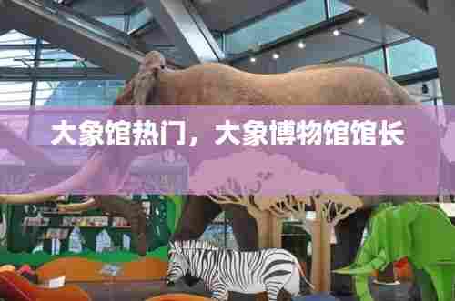 大象馆热门,大象博物馆馆长