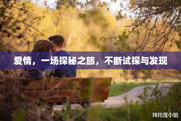爱情,一场探秘之旅,不断试探与发现