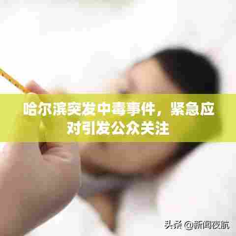 哈尔滨突发中毒事件,紧急应对引发公众关注