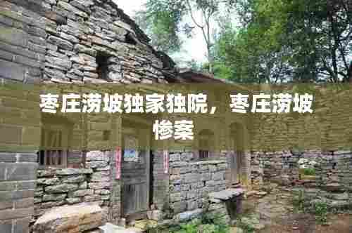 枣庄涝坡独家独院,枣庄涝坡惨案