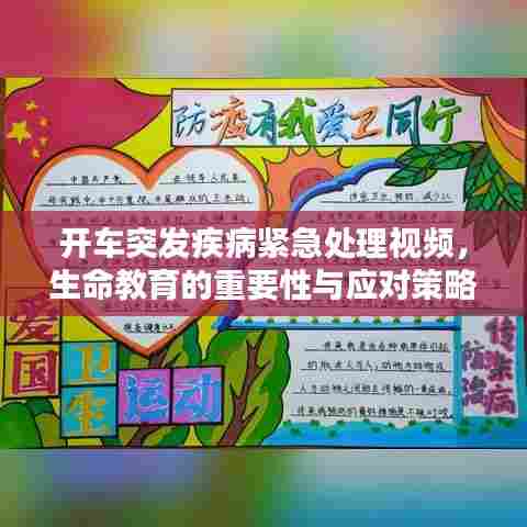 开车突发疾病紧急处理视频,生命教育的重要性与应对策略