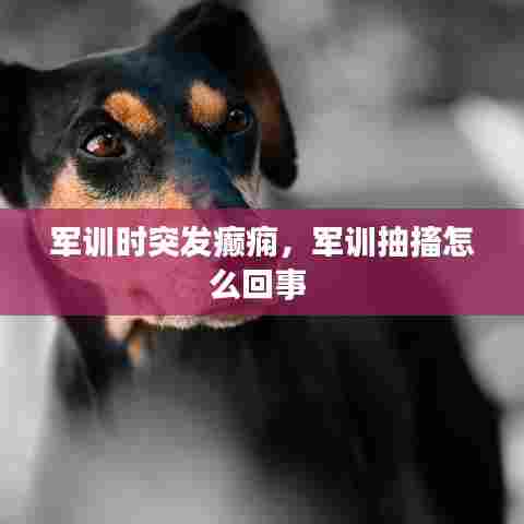 军训时突发癫痫,军训抽搐怎么回事