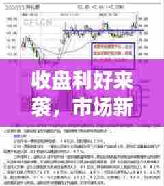 收盘利好来袭,市场新动力引发投资者策略大调整