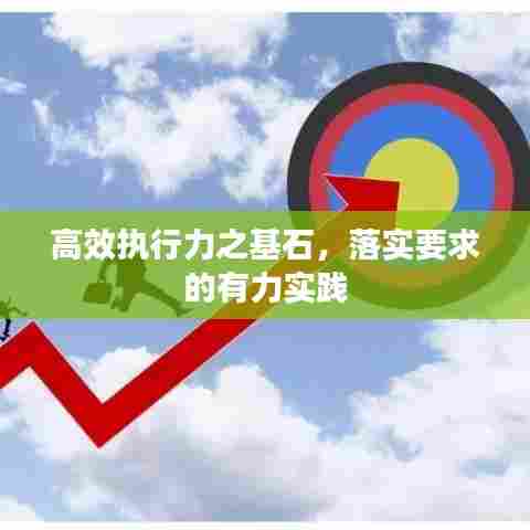 高效执行力之基石,落实要求的有力实践