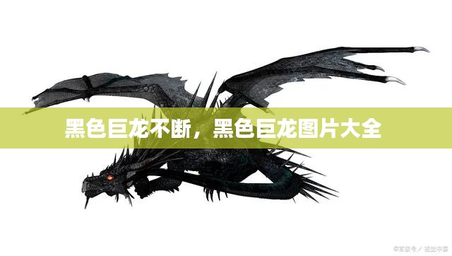 黑色巨龙不断,黑色巨龙图片大全