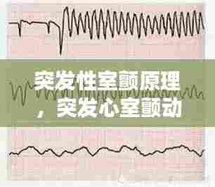 突发性室颤原理,突发心室颤动,应如何处理
