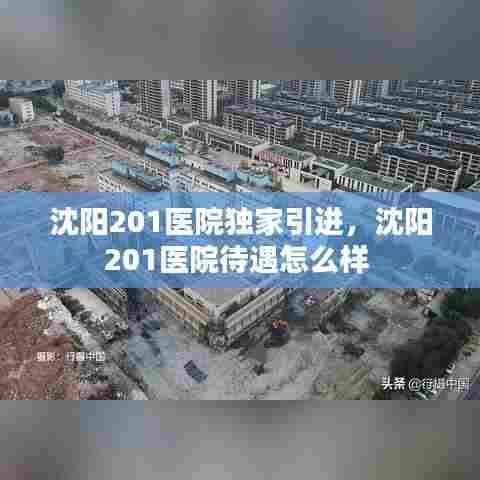 沈阳201医院独家引进，沈阳201医院待遇怎么样 