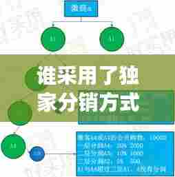 谁采用了独家分销方式,举例说明采用独家分销的产品