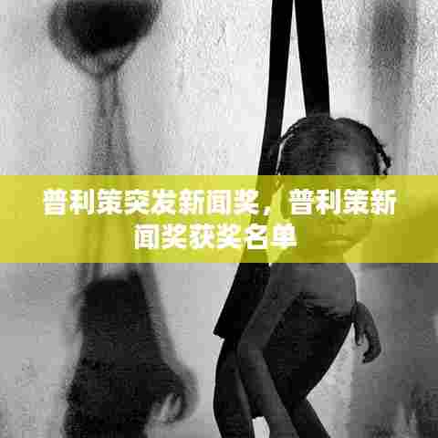 普利策突发新闻奖，普利策新闻奖获奖名单 