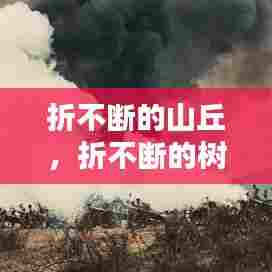 折不断的山丘，折不断的树叫什么 