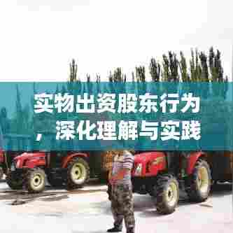 实物出资股东行为，深化理解与实践操作指南