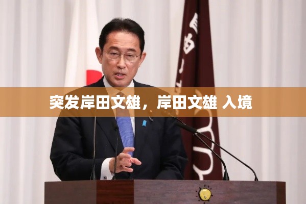 突发岸田文雄,岸田文雄 入境