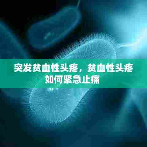 突发贫血性头疼,贫血性头疼如何紧急止痛