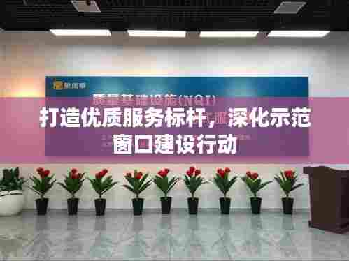 打造优质服务标杆,深化示范窗口建设行动