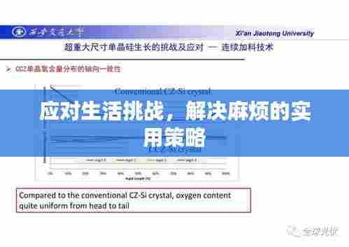 应对生活挑战,解决麻烦的实用策略