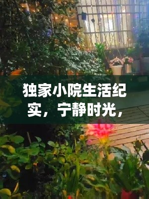 独家小院生活纪实,宁静时光,视频中的悠然之旅