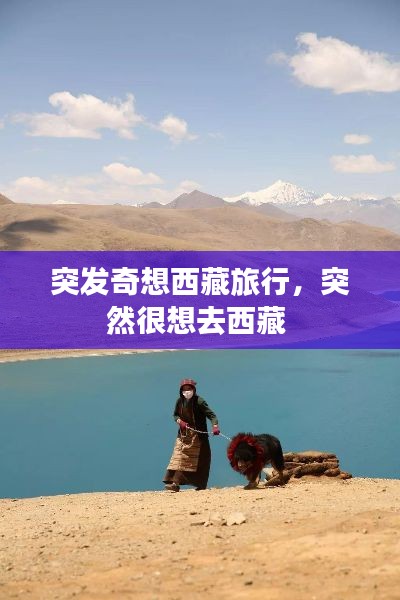 突发奇想西藏旅行,突然很想去西藏