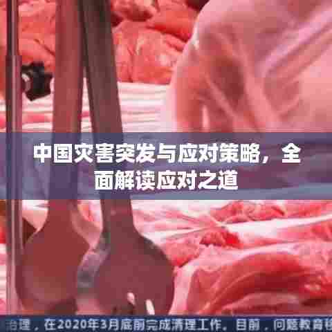 中国灾害突发与应对策略,全面解读应对之道