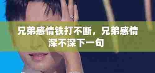 兄弟感情铁打不断,兄弟感情深不深下一句