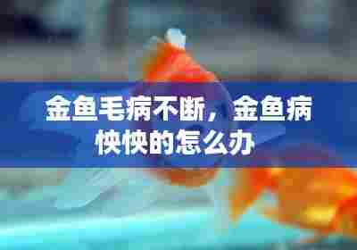 金鱼毛病不断,金鱼病怏怏的怎么办
