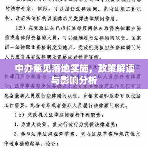 中办意见落地实施,政策解读与影响分析