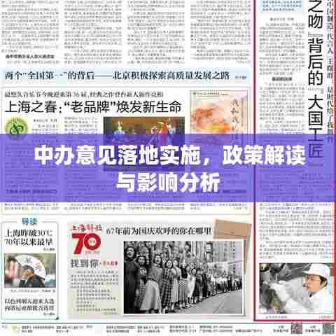 中办意见落地实施,政策解读与影响分析