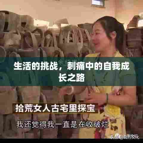 生活的挑战,刺痛中的自我成长之路
