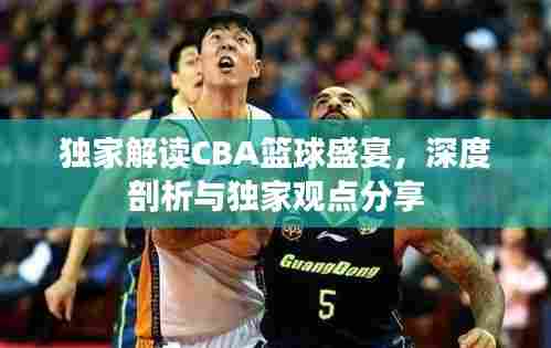 独家解读CBA篮球盛宴，深度剖析与独家观点分享