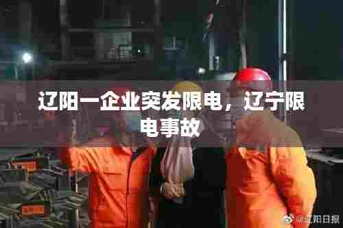 辽阳一企业突发限电，辽宁限电事故 