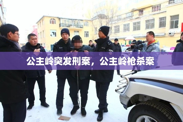 公主岭突发刑案，公主岭枪杀案 