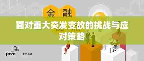 面对重大突发变故的挑战与应对策略