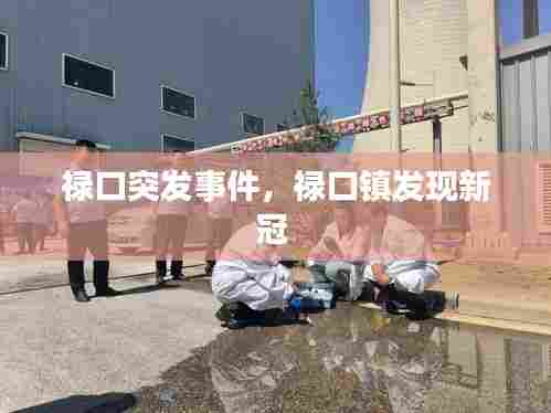 禄口突发事件,禄口镇发现新冠