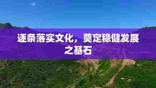 逐条落实文化,奠定稳健发展之基石