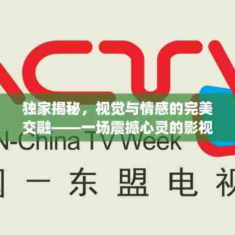 独家揭秘，视觉与情感的完美交融——一场震撼心灵的影视盛宴