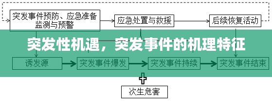 突发性机遇,突发事件的机理特征
